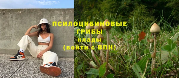 гашик Балахна