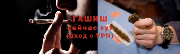 гашик Балахна